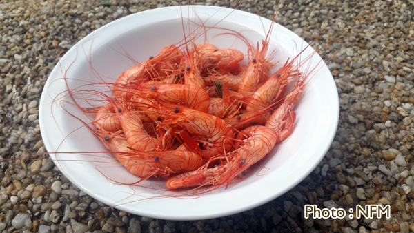 Recette Bouquet court-bouillon