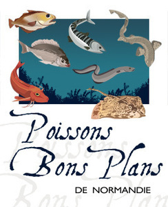 Affiche poissons bon plans_page-0001 (1)