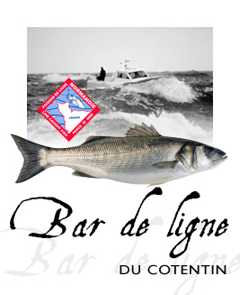 Affiche Bar