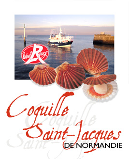 Affiche Coquille