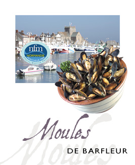 Affiche Moule