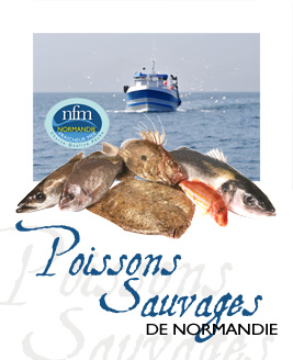 Affiche Poisson Sauvage