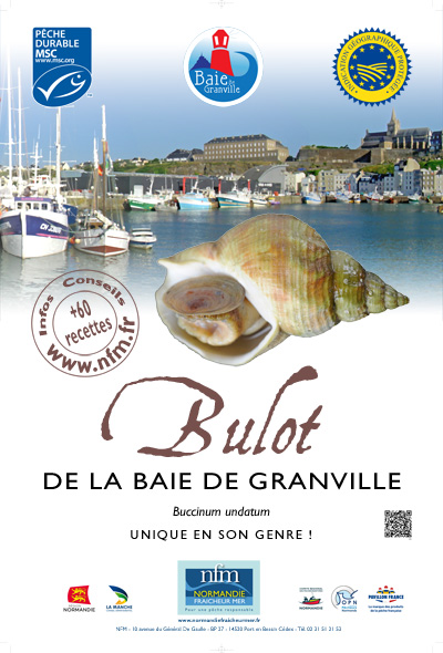 Bulot Baie Granville Affiche