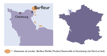 Carte Moule Barfleur