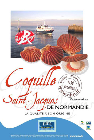Coquille Saint Jacques Normandie Label Rouge Affiche