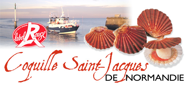 Coquille Saint-Jacques Normandie Label Rouge