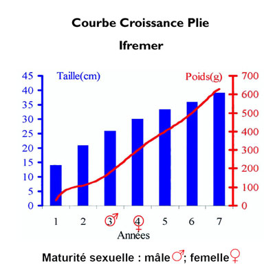 Croissance Plie