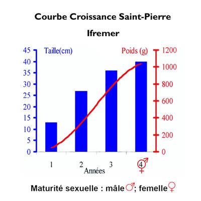 Croissance Saint-Pierre