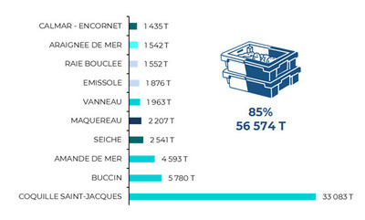 Données 12 espèces volume