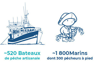 Données pêche 1