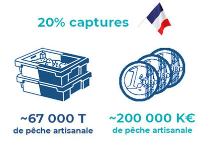Données pêche 3