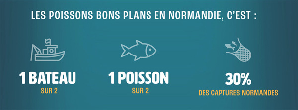 Données Poissons Bons Plans