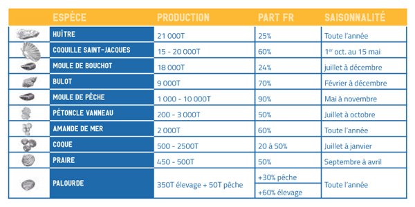 Données Coquillages de pêche et d'élevage en Normandie