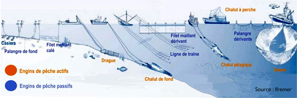 Engins de pêche