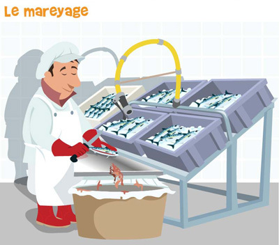 Etape mareyage