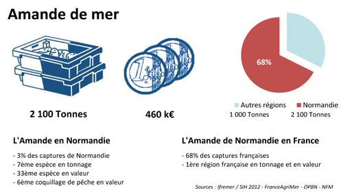 FD Amande de mer