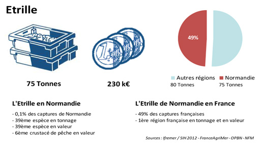 FD Etrille