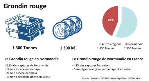 FD Grondin rouge