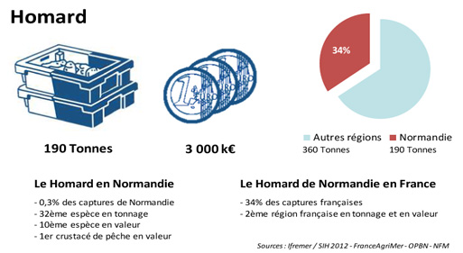 FD Homard