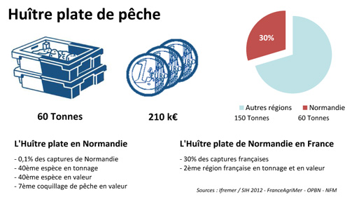 FD Huître plate