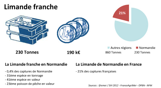 FD Limande franche