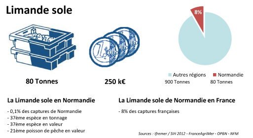 FD Limande sole