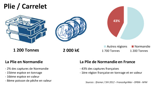 FD Plie Carrelet