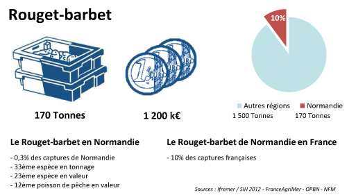 FD Rouget barbet