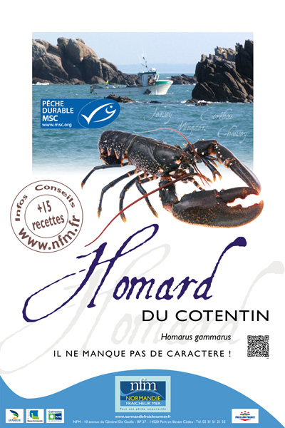 Homard Cotentin Affiche