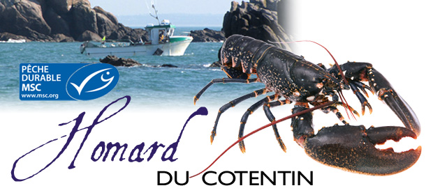 Homard Cotentin Jersey