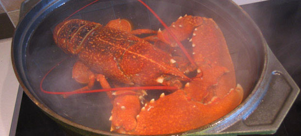 Homard-court-bouill