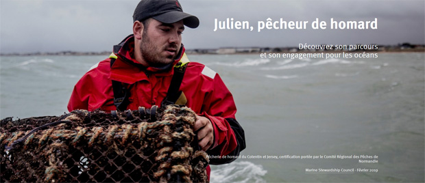 Homard MSC Julien