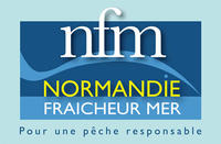 Logo NFM groupement