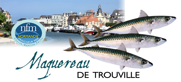 Maquereau Trouville