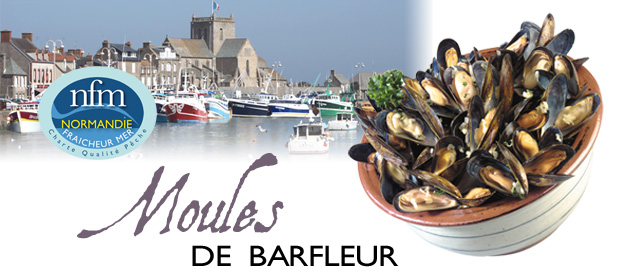 Moule Barfleur