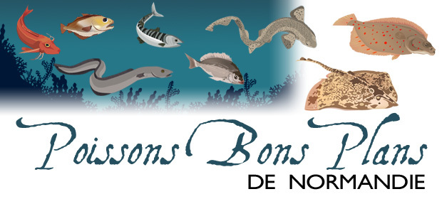 Poissons Bons Plans