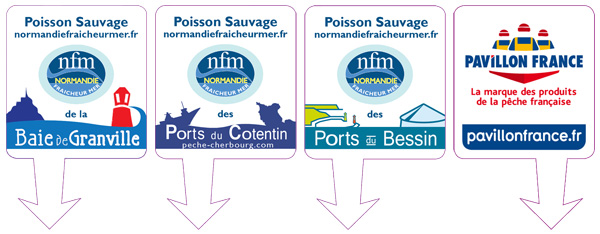 Pin's Poissons Sauvages NFM PF