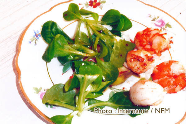 Recette Coquille Saint-Jacques marinee mache nantaise