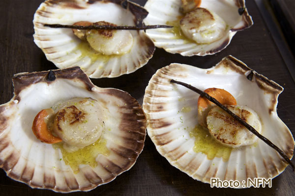 Recette Coquille Saint-Jacques en coquille beurre de vanille citron vert