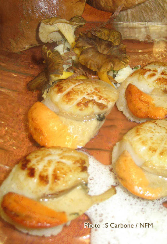 Recette Coquille Saint-Jacques risotto chanterelles