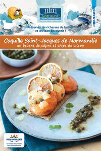 Recette Coquille Saint-Jacques 14