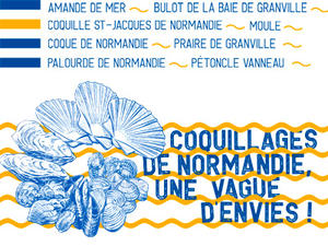 Coquillages de Normandie