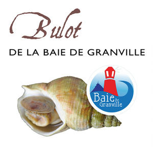 Bulot Affiche Expo