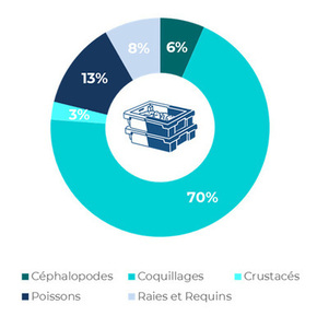 Données familles Volume