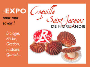 Expo Coquille Saint-Jacques de Normandie