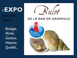 Expo Bulot Baie de Granville