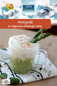 Fiche Recette Araignée 2