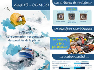 Guide-Conso NFM