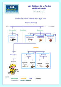 Guide espèces