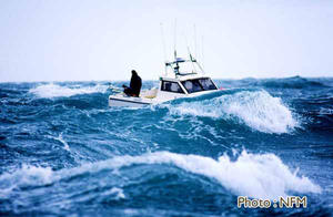 Peche Bar de ligne Cotentin 010